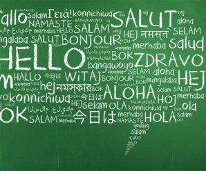 5-translators